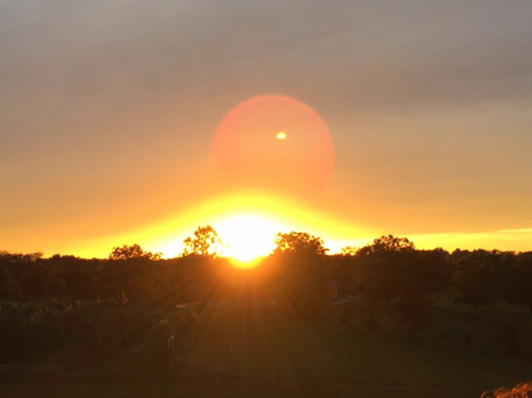 Ladoga Ridge Winery-Smithville必去景点