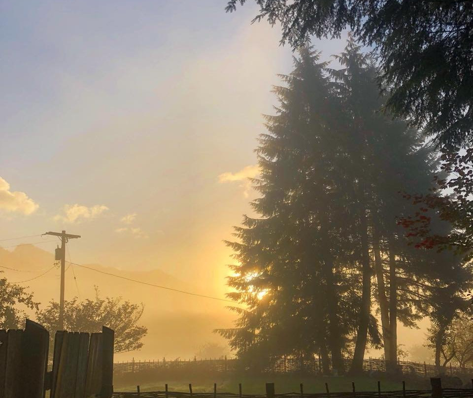 Paradise Village主图