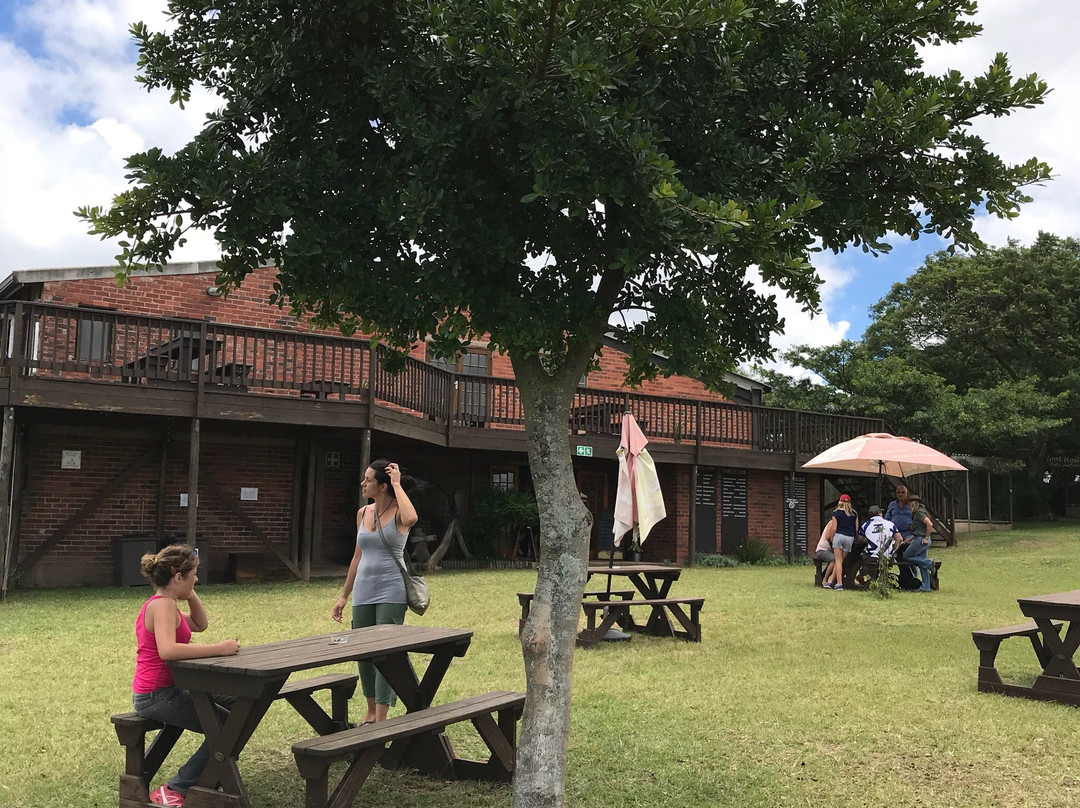 African Raptor Centre-彼得马里茨堡必去景点