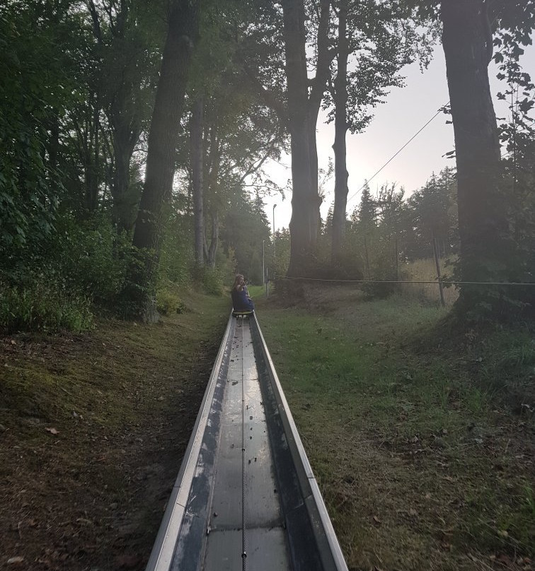 Czarodziejska Gora Park of Activities景点图片