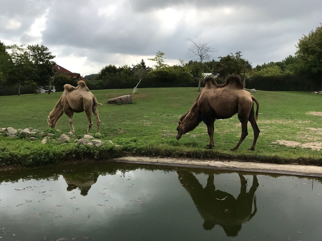 梅克伦堡-西波莫尼亚旅游攻略图片