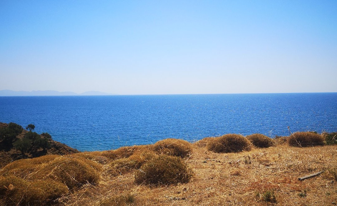 Samothraki Beach Apartments & Suites Hotel主图