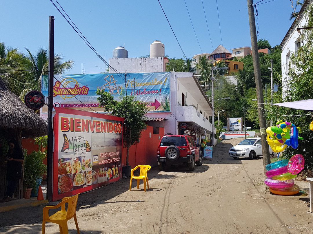 Playa La Manzanilla景点图片