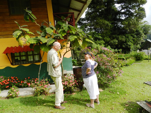Coffee Adventures-波魁特必去景点