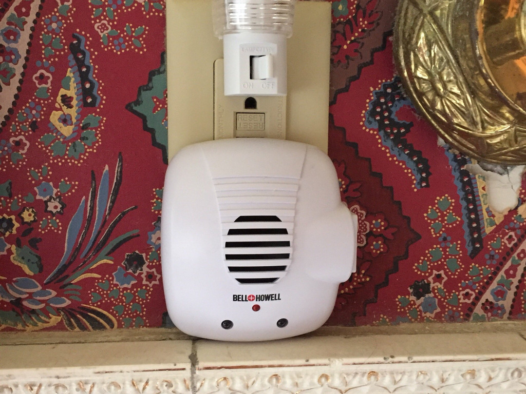 Wisteria Bed And Breakfast主图