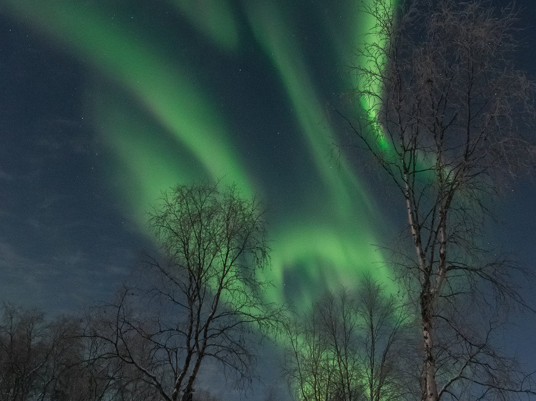 Aurora Holidays景点图片