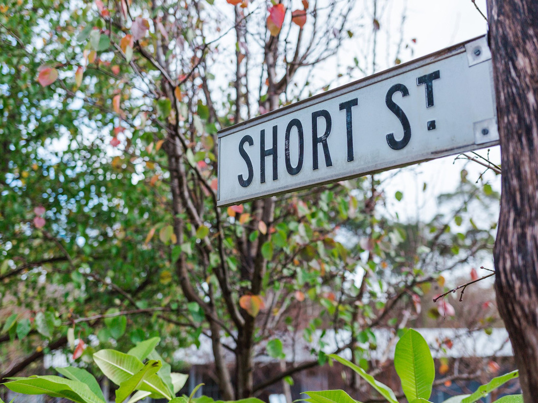 Stoneville旅游攻略图片