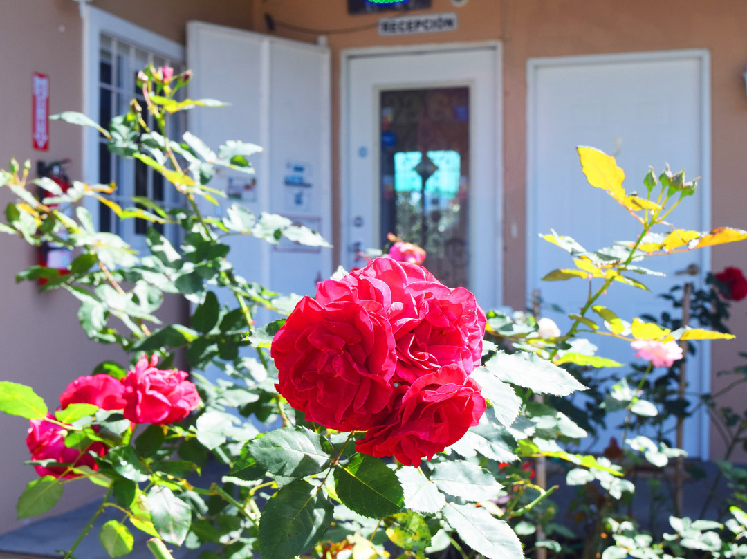 Hostal Victoria Volcan Chiriqui主图