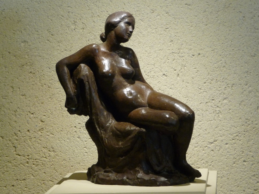 Musee Costi景点图片
