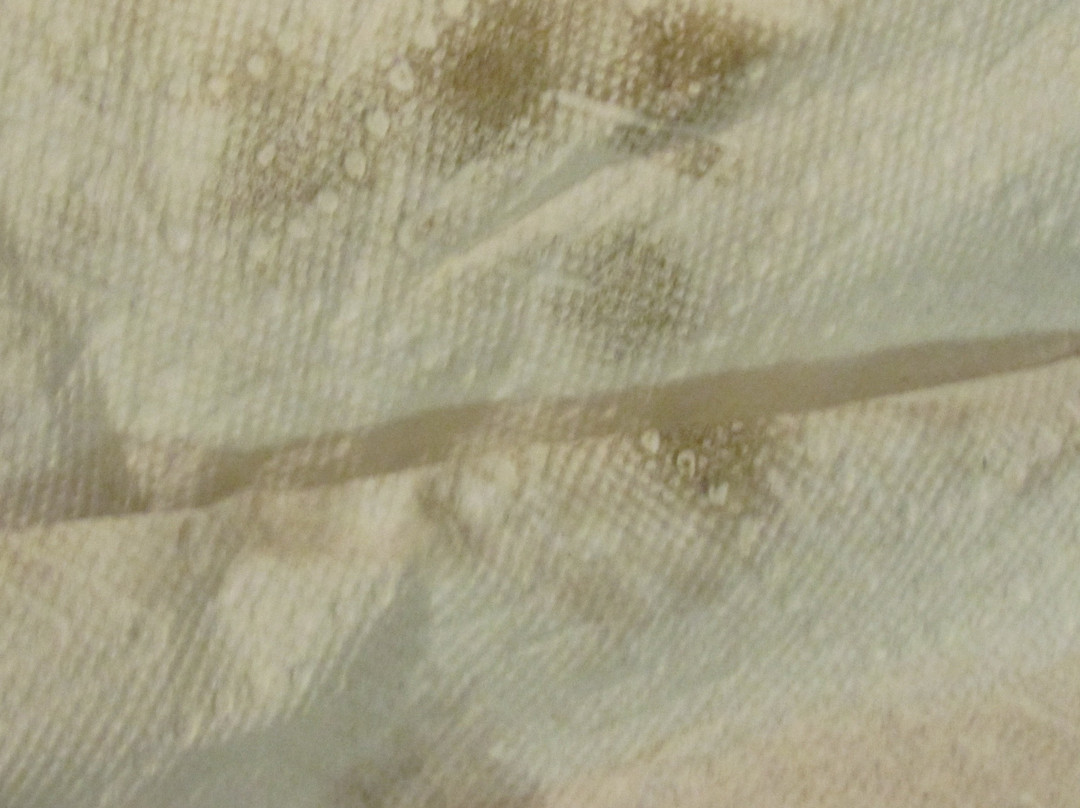 Red Roof PLUS+ West Springfield主图