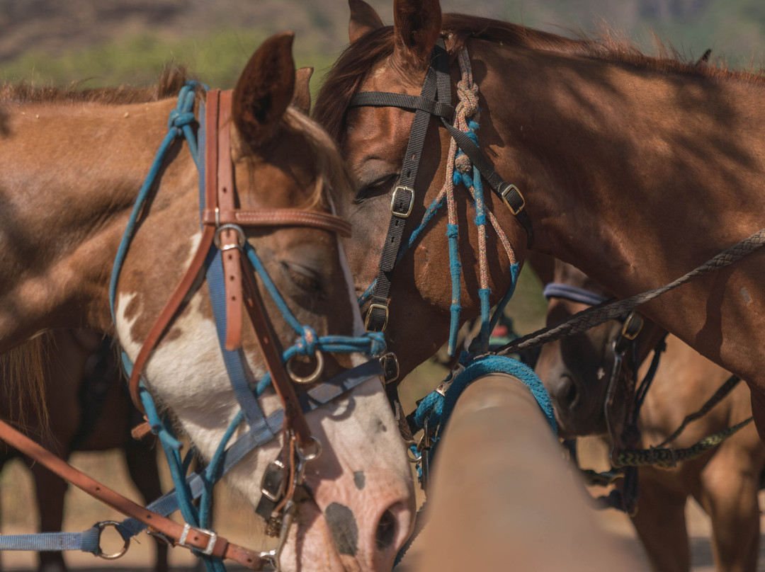 Ohikilolo-怀厄奈必去景点