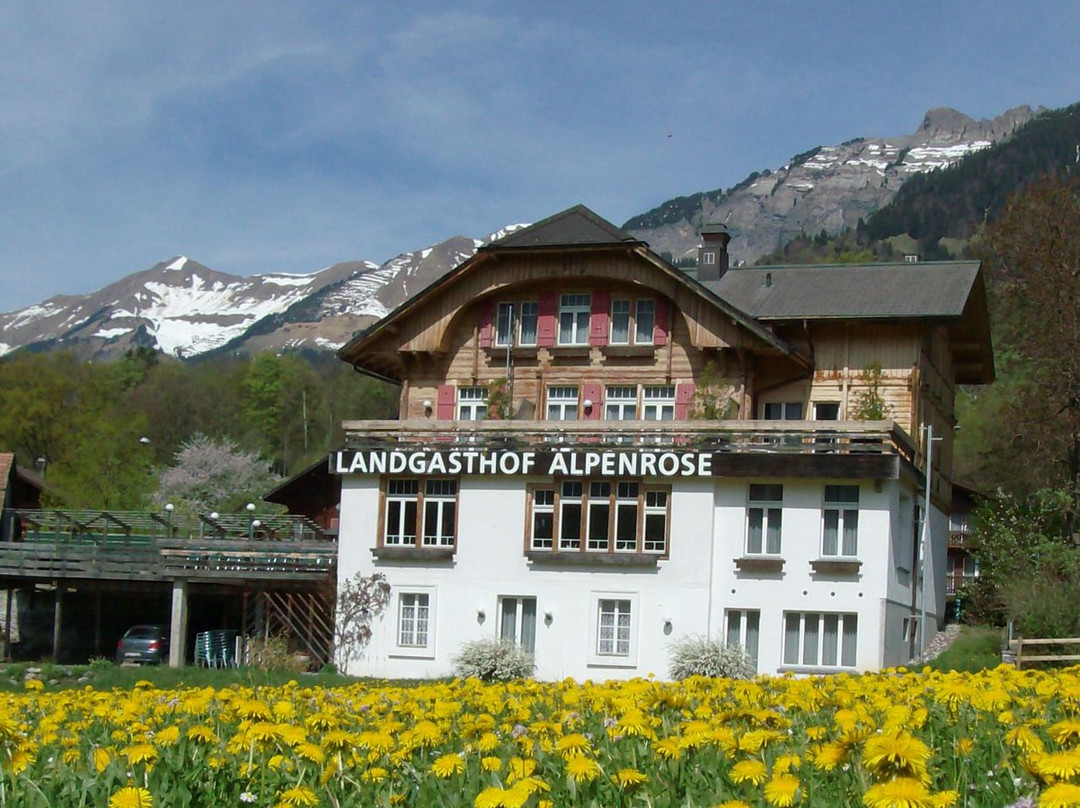 Hofstetten bei Brienz酒店住宿-Hotel Alpenrose beim Ballenberg