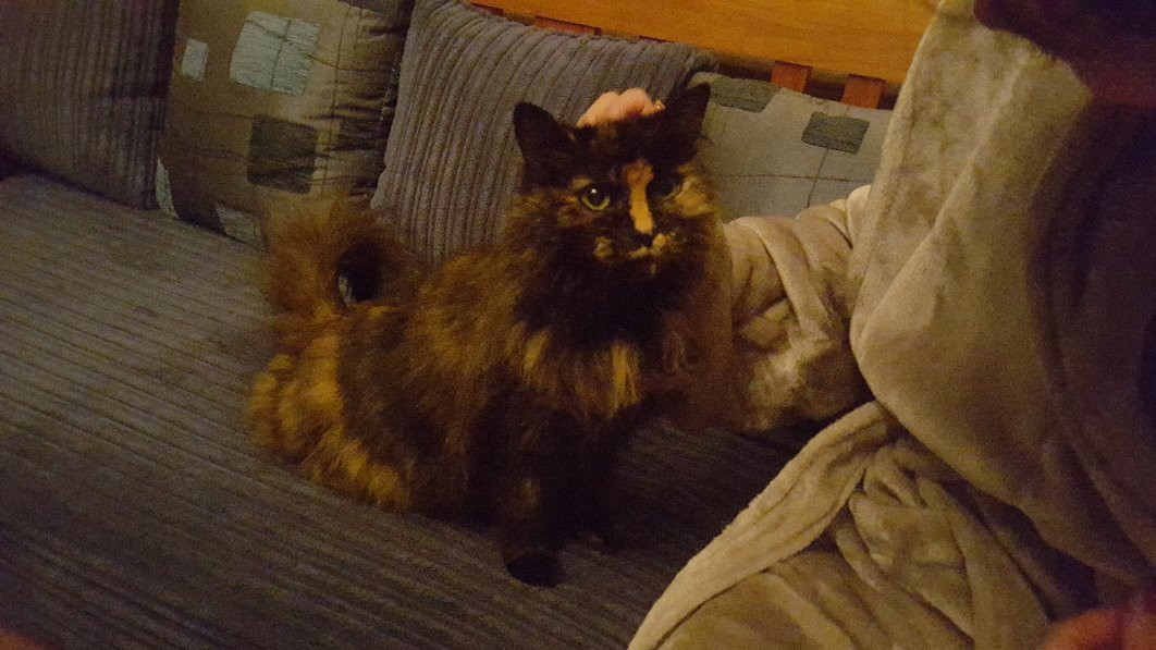 Pukepapa Lodge主图