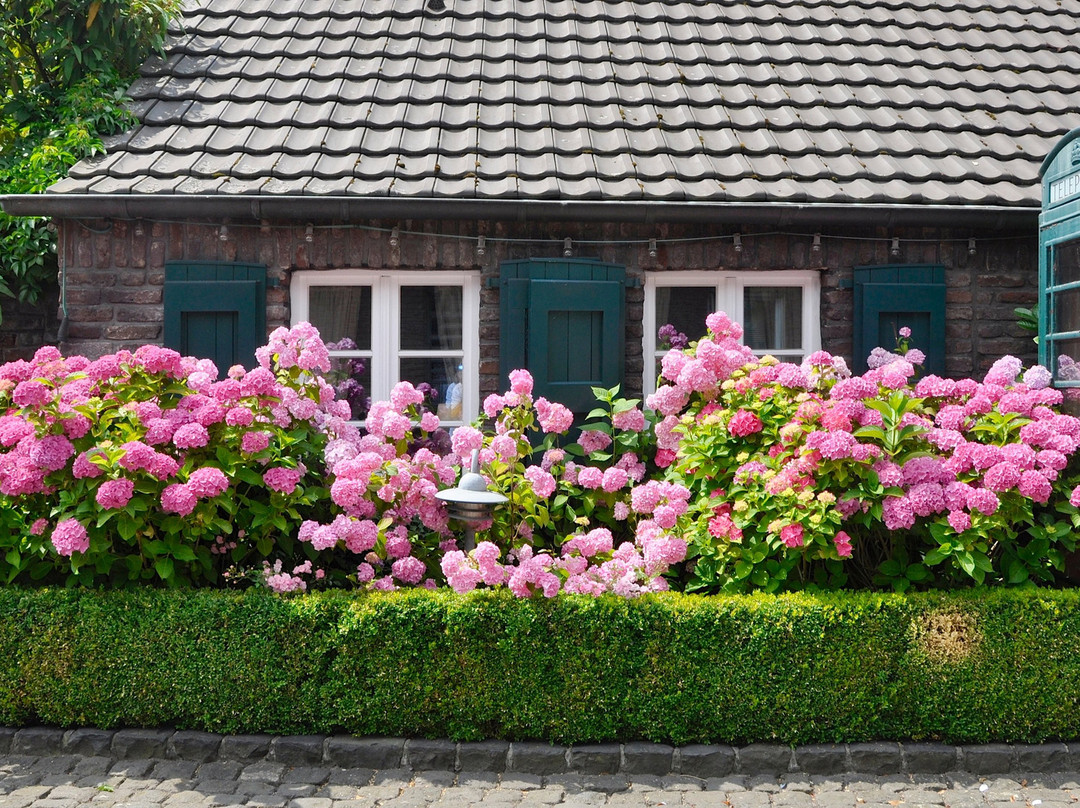 Wellings Romantik Hotel zur Linde主图