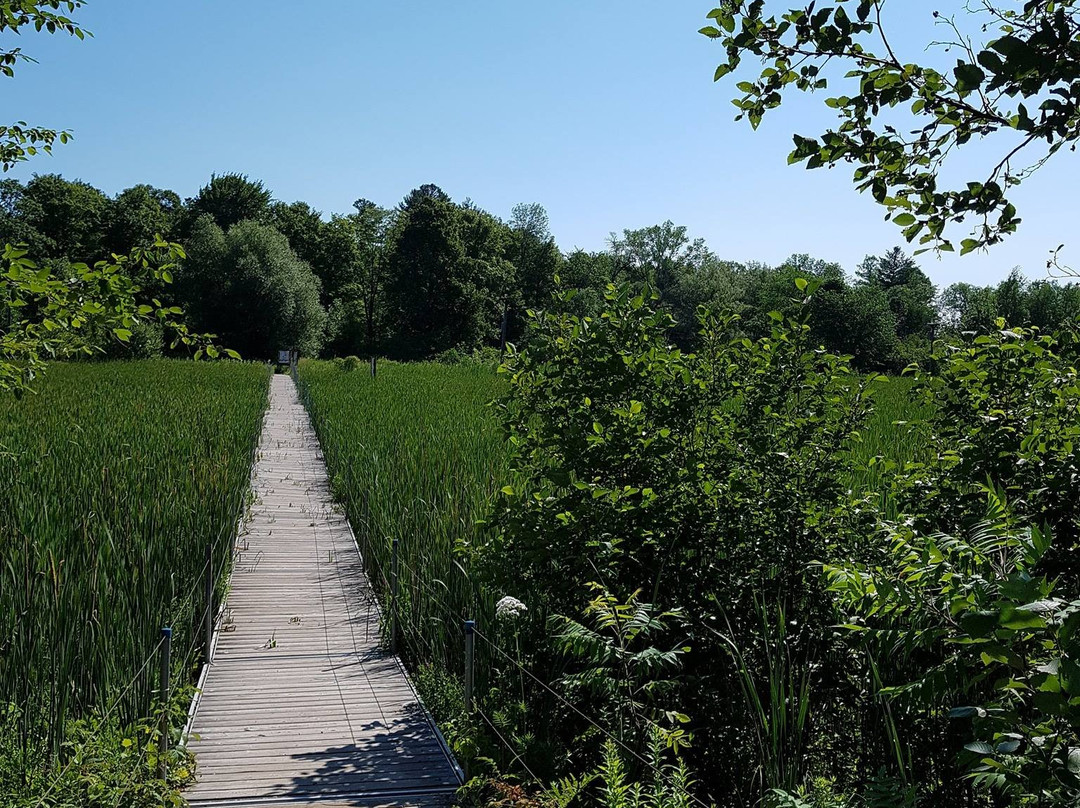 Parc Régional de la Rivière-du-Nord景点图片