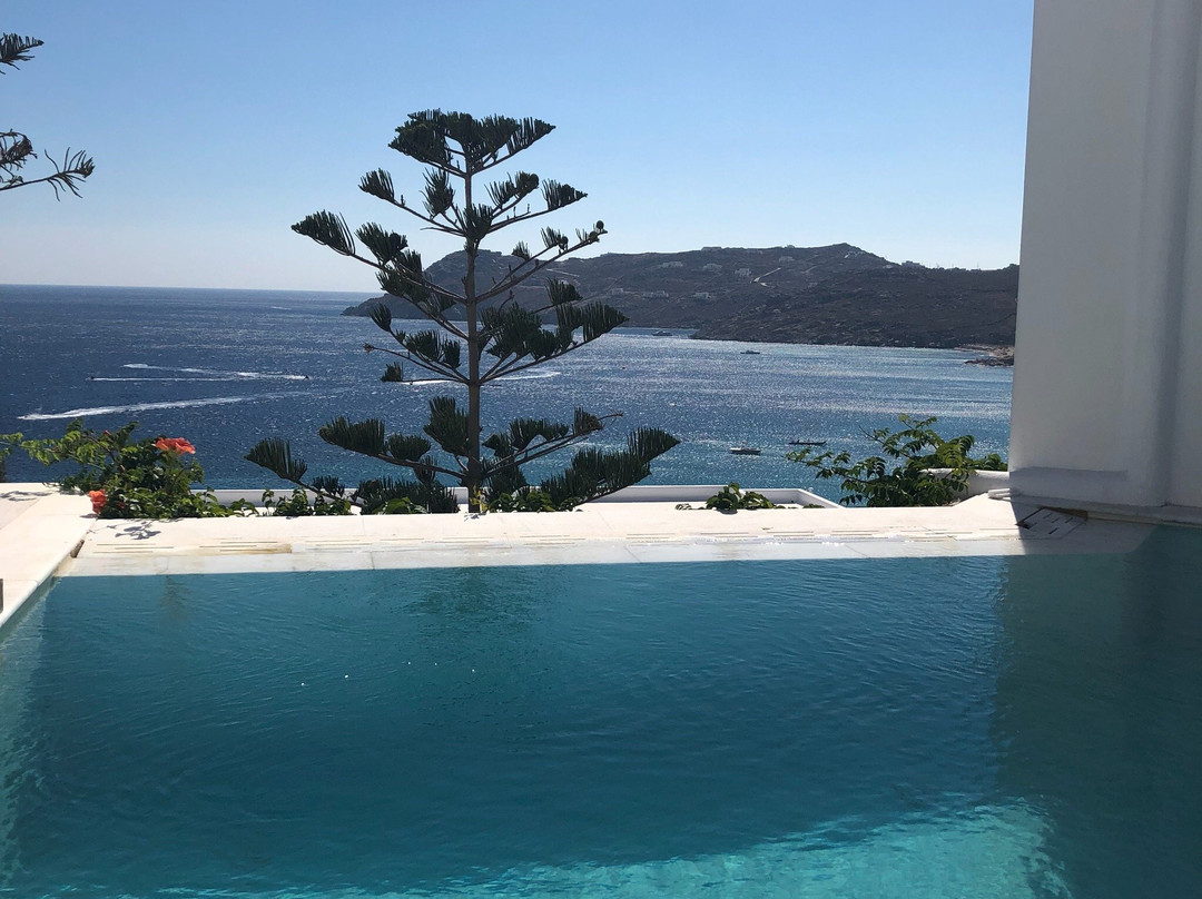 Royal Myconian主图