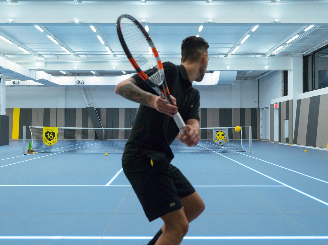 Court 16-长岛市必去景点