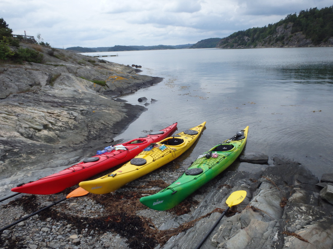 Kayak in Grundsund景点图片