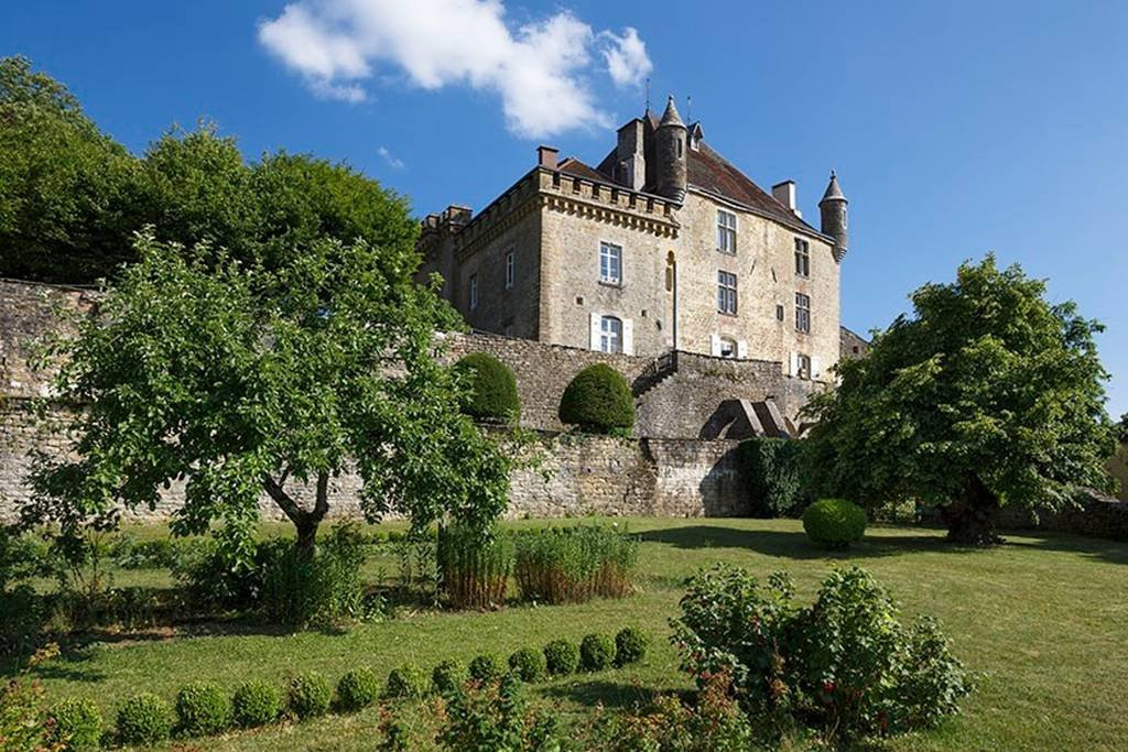 Chateau de Frontenay景点图片