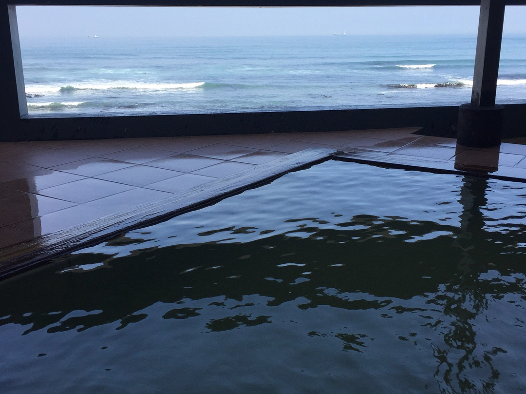 Inubosaki Shionoyu Onsen-铫子市必去景点