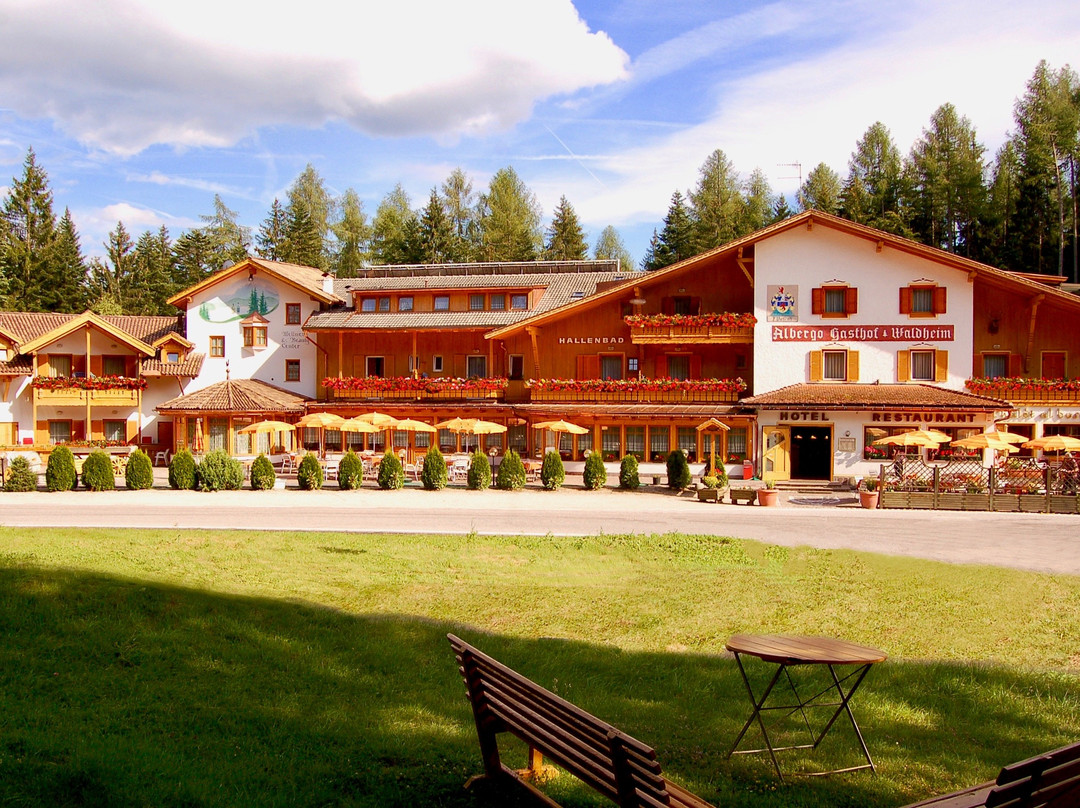 Hotel Waldheim Wellness & Restaurant主图