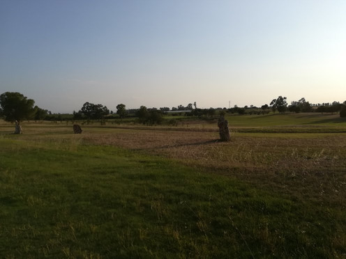 Golf Club Metaponto-Bernalda必去景点