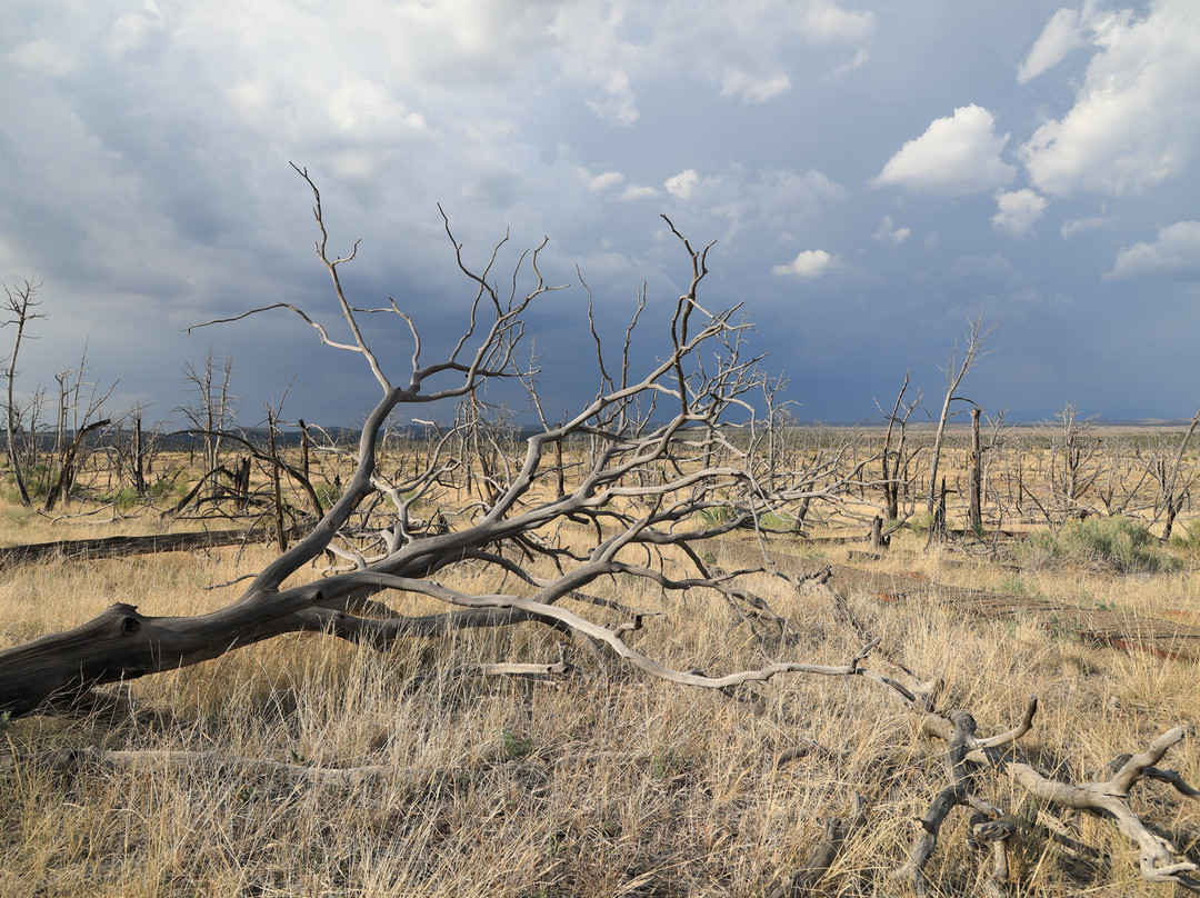 Nordenskiold  #16 Trail-梅萨维德国家公园必去景点