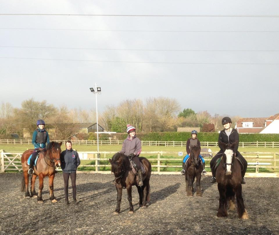 Catherington Equestrian Centre景点图片