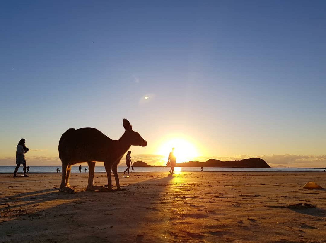 Mackay Region Visitor Information Centre Tours景点图片