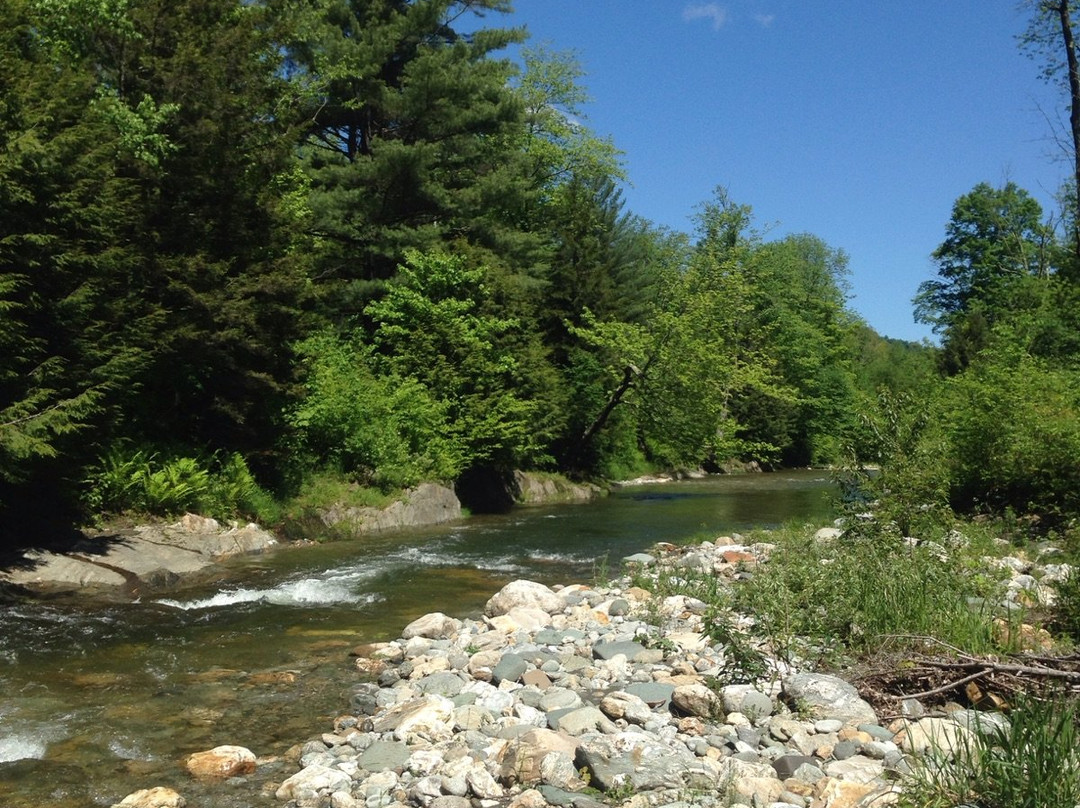 The Warren House主图