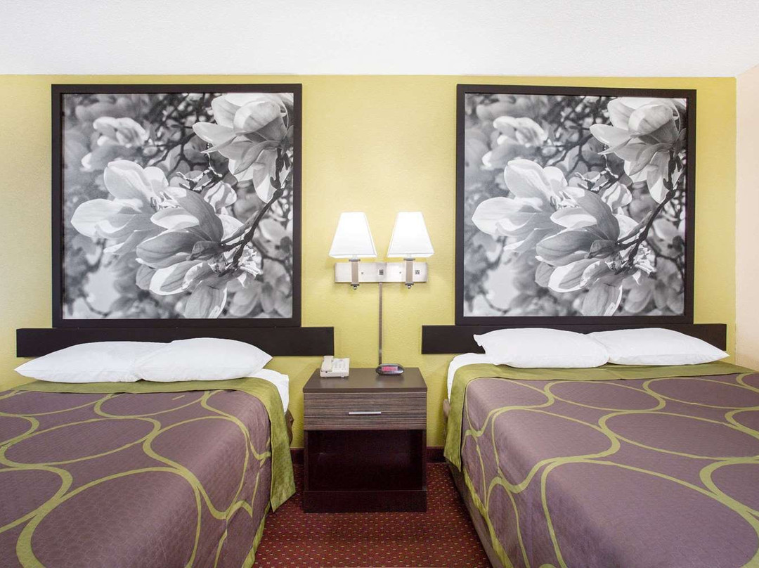 Super 8 by Wyndham Sumter主图