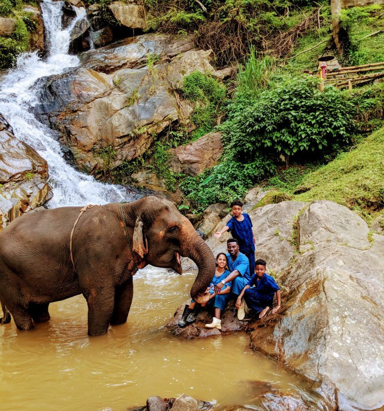 Pong Yang Elephant Camp景点图片