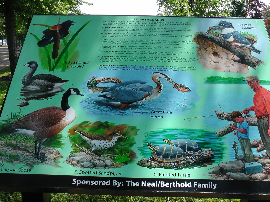 哈里斯河滨公园-亨廷顿必去景点