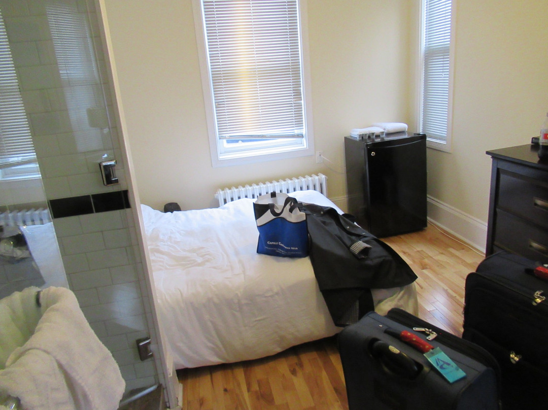 The Novel Stay主图