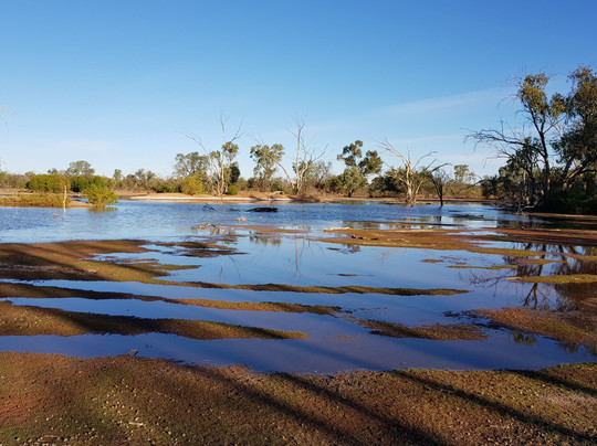Bowra Wildlife Sanctuary-Cunnamulla必去景点