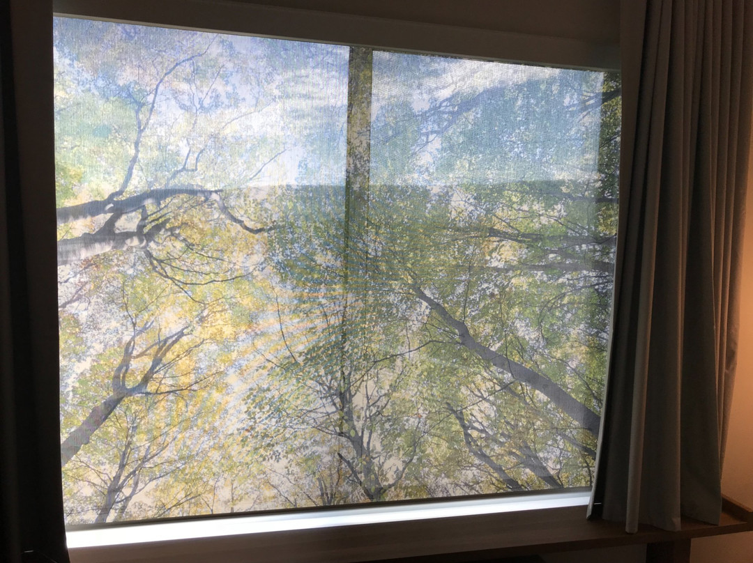 基洛纳万枫酒店及套房主图