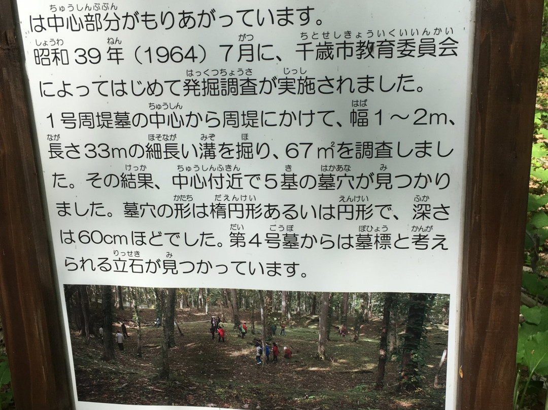 Kiusu Shuteibogun Ancient Tombs-千岁市必去景点