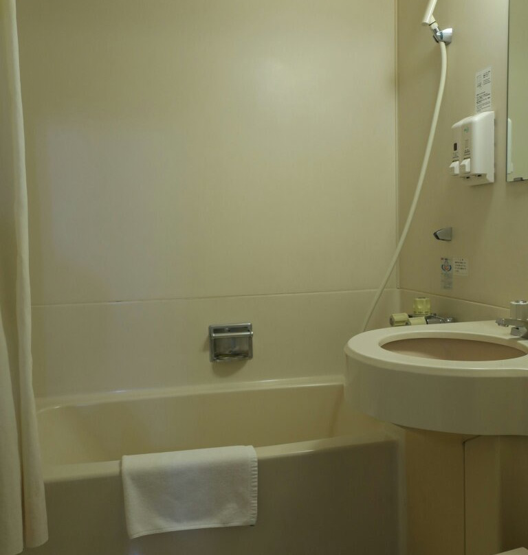 Minokamo Station Hotel主图