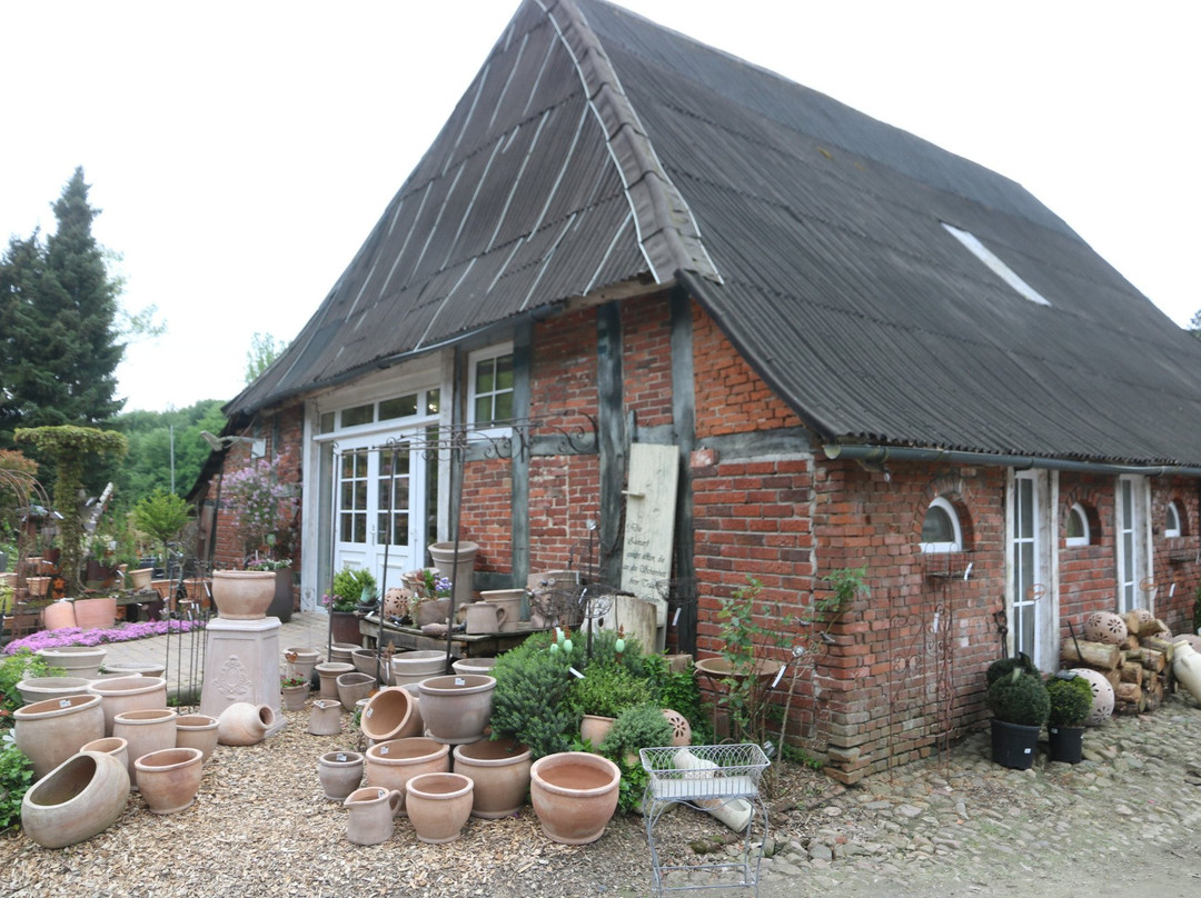 Ahrensfelde餐馆和美食-Hofcafe Oldenbüttel