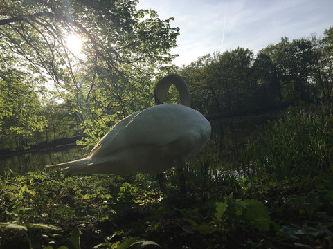 Tallesee-帕德博恩必去景点