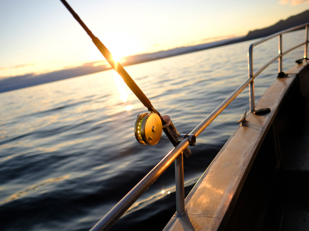 OTB Charters-Garden Bay必去景点