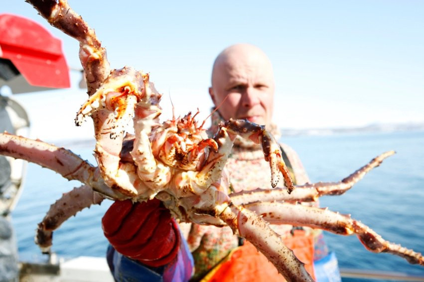 King Crab Safari景点图片