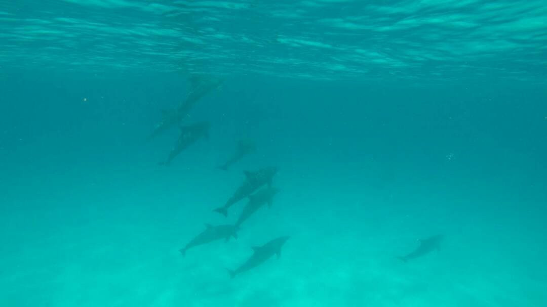 Cool Divers Diving Center-基万嘎必去景点