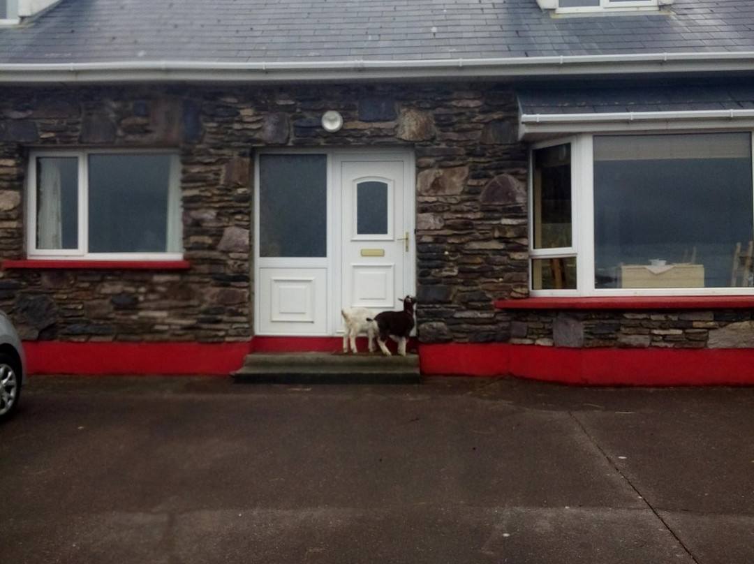 SKELLIG ROCK PET FARM B&B