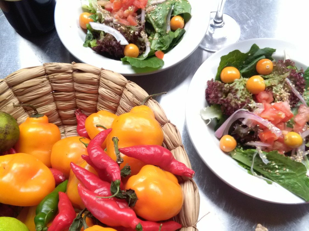 Bosque Ecuestre-Sopo必去景点