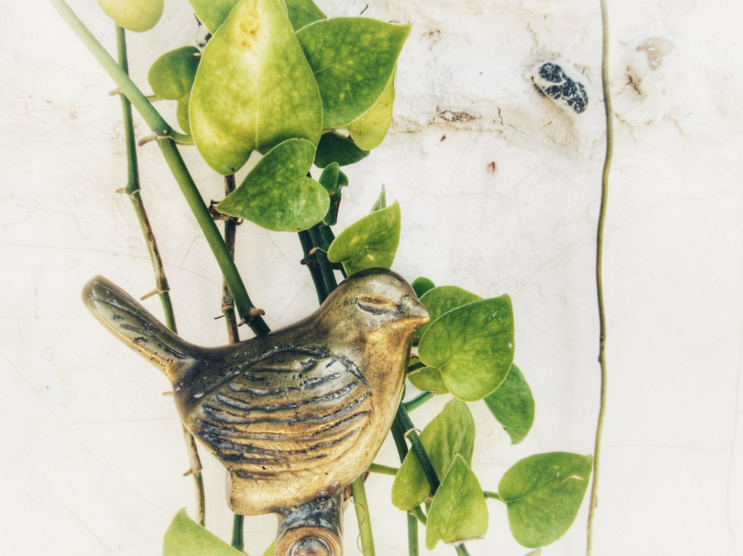 Hotel Playa Manglares主图