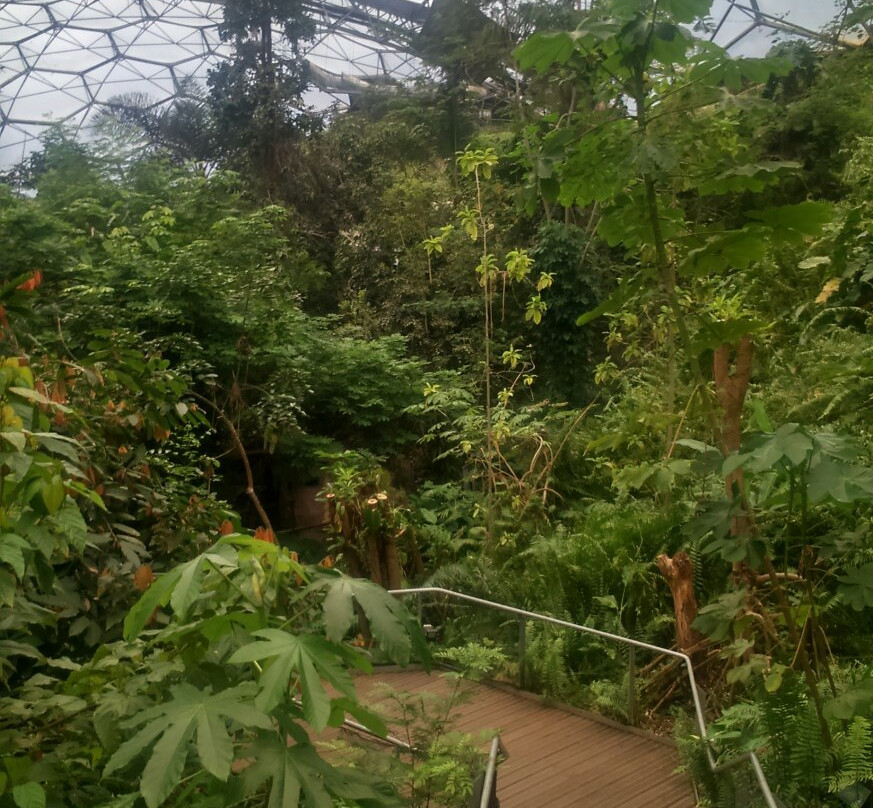 伊甸园植物园-Bodelva必去景点