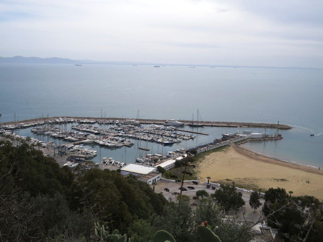 Centre des Musiques Arabes et Mediterraneennes-蓝白小镇必去景点