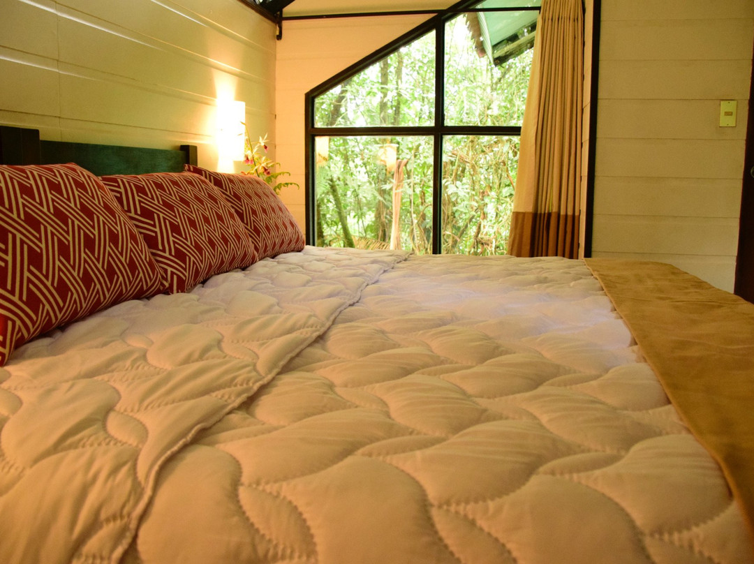 Rainforest Adventures-瓜匹来斯必去景点