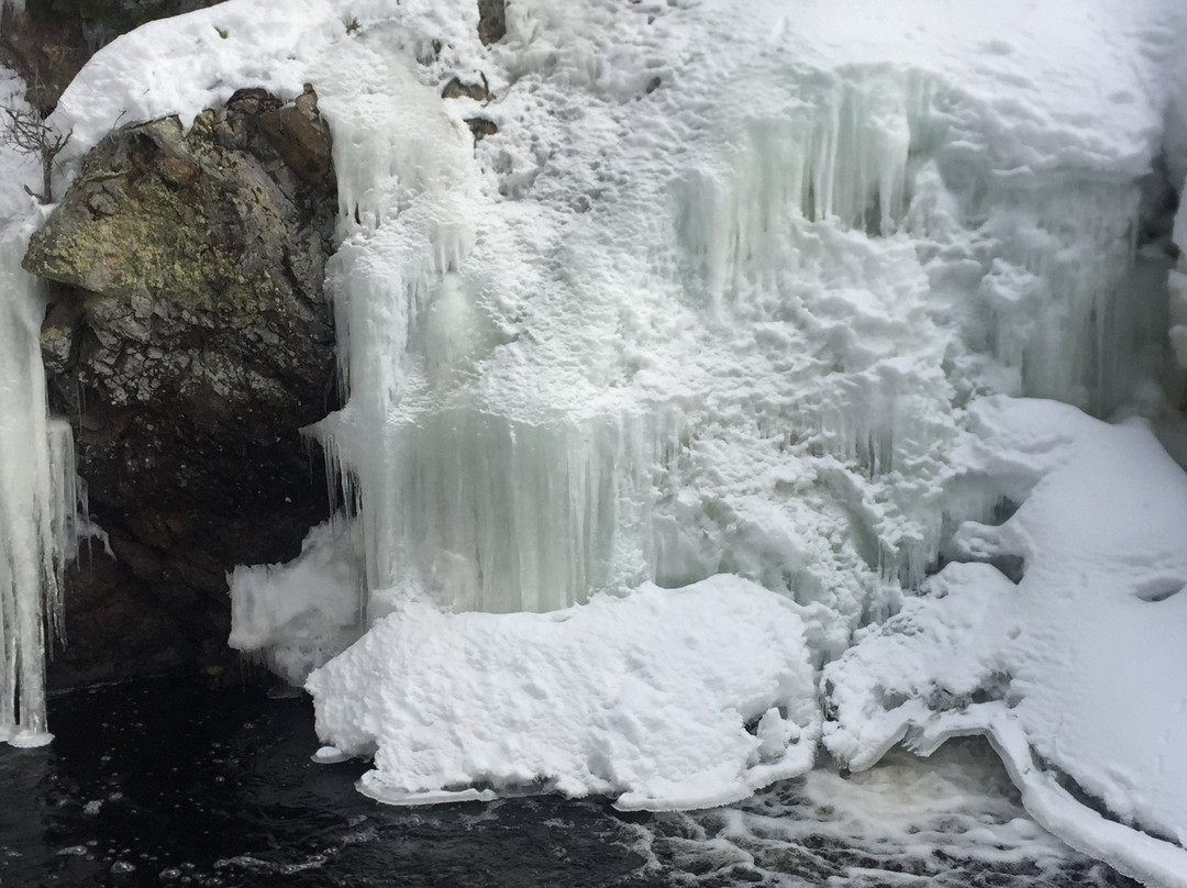 Kinsmen Park-苏圣玛丽必去景点